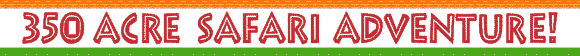 Header-350acresafariadventure