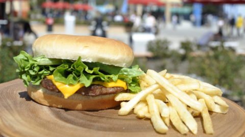 Cheeseburger1-scaled-e1607643708810
