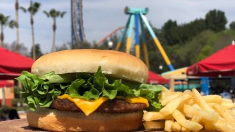 Cheeseburger2-scaled-e1607642498545