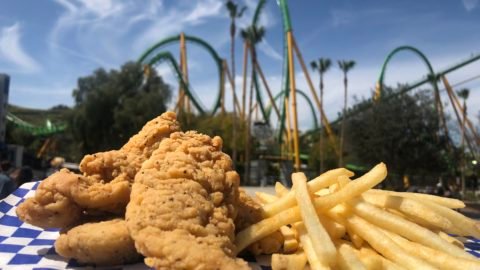 Chickenstrip2-scaled